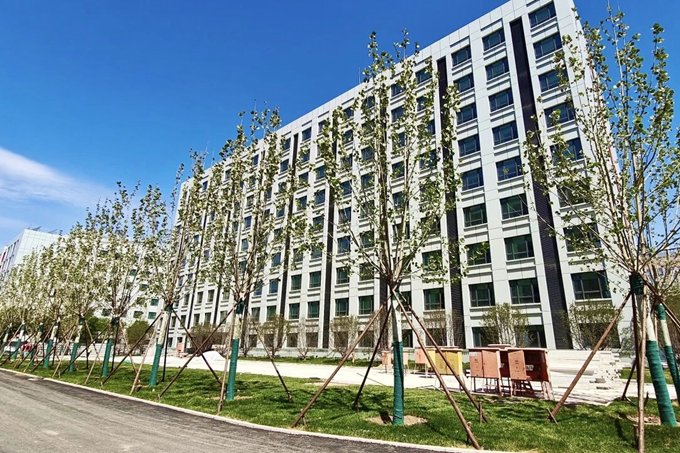 天津市武清区委副书记